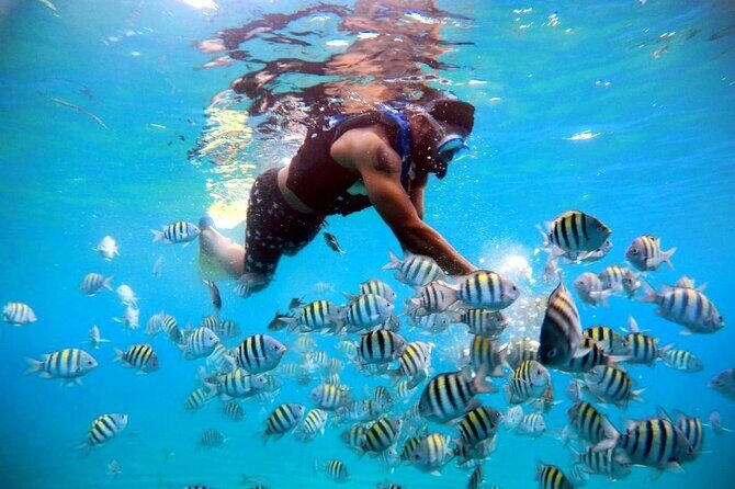 Amber Cove - Taino Bay Party Boat Snorkeling Whit Locale BBQ Tour - Authenticity and Guest Feedback