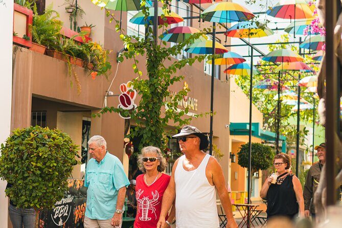 Amber cove & Taino bay - Puerto plata city tour - shore Excursion - Who Should Consider This Tour?