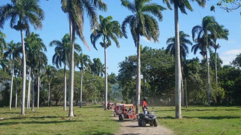 AMBER COVE TAINO BAY Super Buggy Tour - FAQ