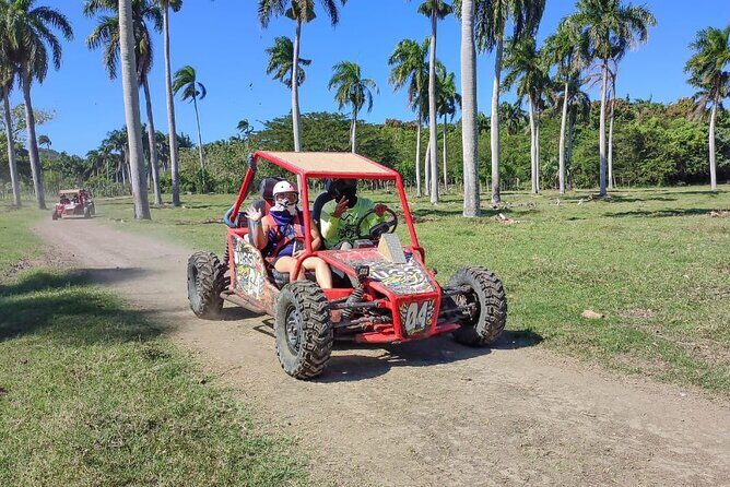 Amber Cove, Taino Bay Waterfalls and Buggy with Local Food Tour - Who Should Consider This Tour?