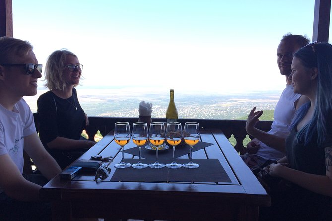 Amber Wines Private Day Trip Review - Winery Visits
