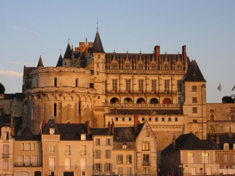 Amboise: Private Guided Tour of the Castle With Entry Ticket - Discovering the History of Château Damboise