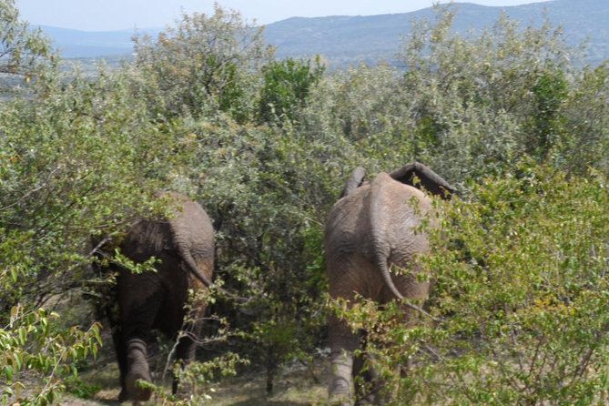 Amboseli National Park Day Tour From Nairobi - Cultural Interaction With Maasai