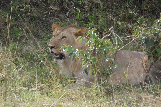 Amboseli National Park Day Tour From Nairobi - Meeting Points and Pickup Information