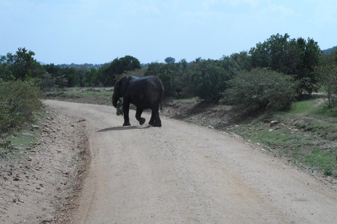 Amboseli National Park Day Tour From Nairobi - Tips for a Great Tour