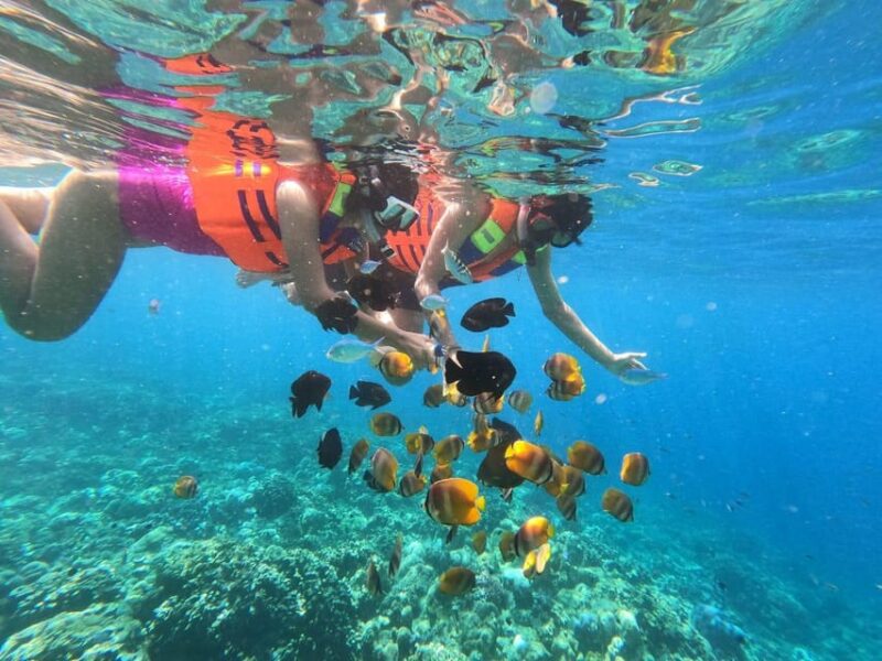 Amed Bali : Senorkling Tour Underwater Temple - Good To Know