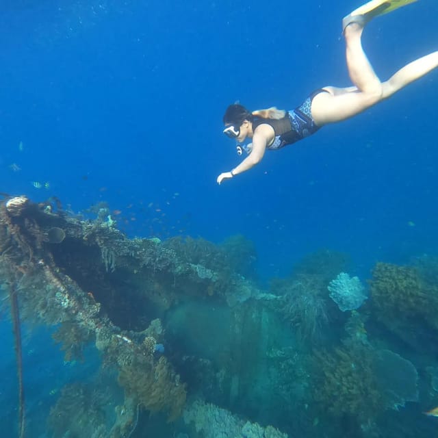 Amed Bali : Senorkling Tour Underwater Temple - Turtle Sightings at Turtle Point