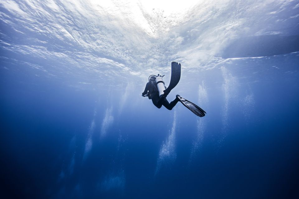 Amed: Guided Scuba Dive for Beginners/Non Certified Divers - Highlights