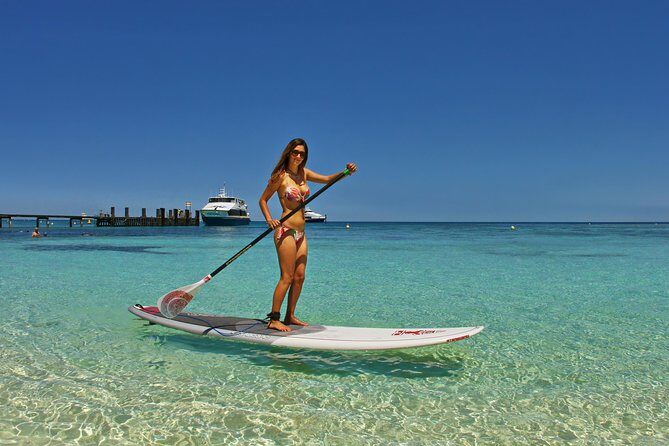 Amedee Lighthouse - The Sum Up: Who Should Consider This Tour?