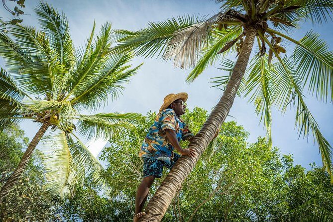 Amedee Lighthouse - FAQ