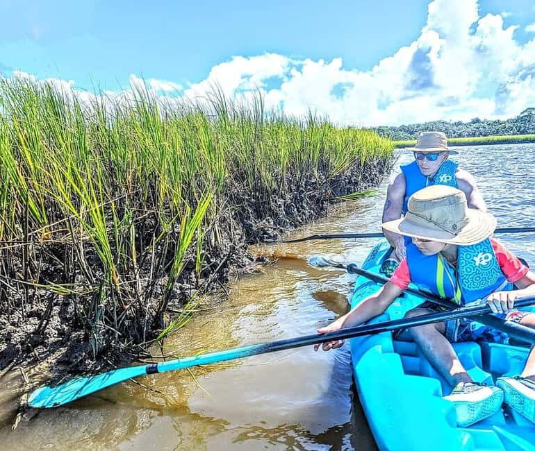 Amelia Island: Paddle Board or Kayak Rental - PADL Island - The Value for Your Money