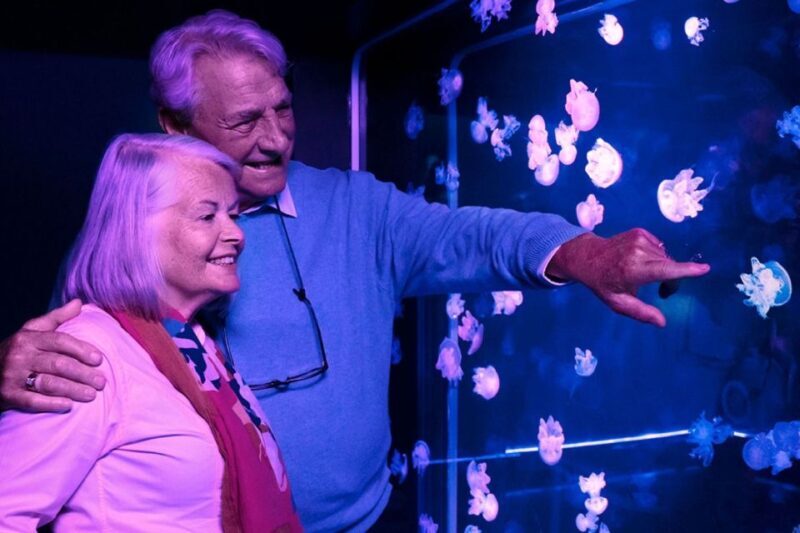 American Dream: SEA LIFE® Aquarium Entry Ticket - Who Will Love This Experience?