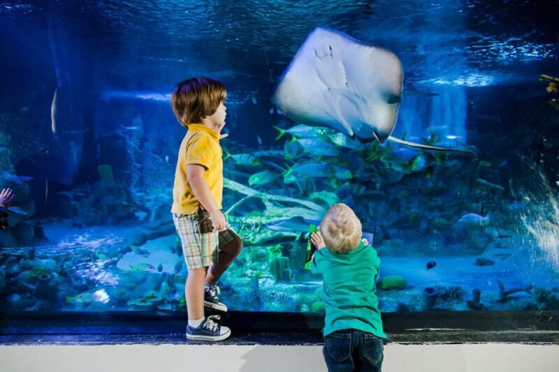 American Dream: SEA LIFE® Aquarium Entry Ticket - FAQ