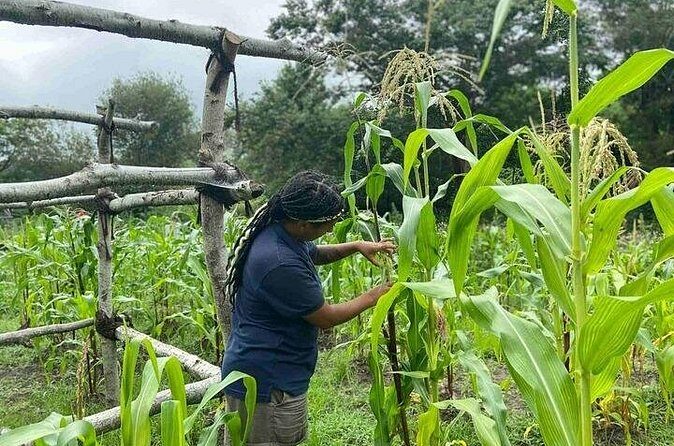 America's Home Town Plymouth Private Tour - Who Should Book This Tour?