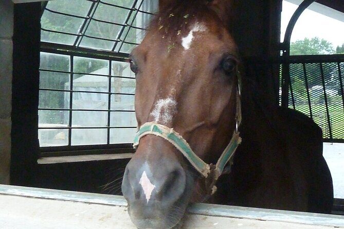 Amish Experience Visit-In-Person Tour - Final Thoughts
