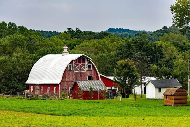 Amish Farm and House 1-Day Small Group with Max 12 Tour from D.C - An In-Depth Look at the Itinerary