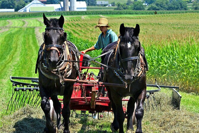 Amish Farmlands Tour - Amish Farmlands Tour: An Authentic Peek into Amish Life Near Lancaster