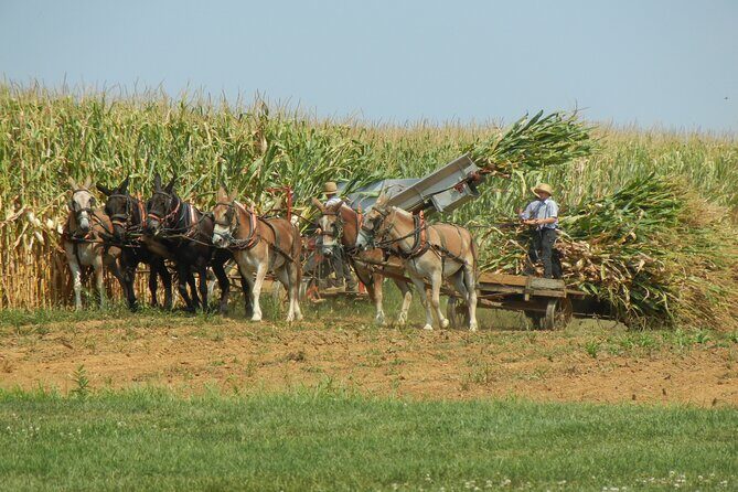 Amish Farmlands Tour - Key Points 