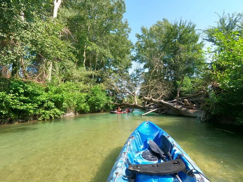 Ammoudia: 13 km Kayaking Adventure in the Acheron River. - The Value of the Experience
