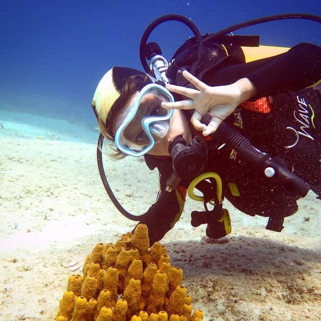 Amorgos: Try Scuba Diving Experience - Key Points