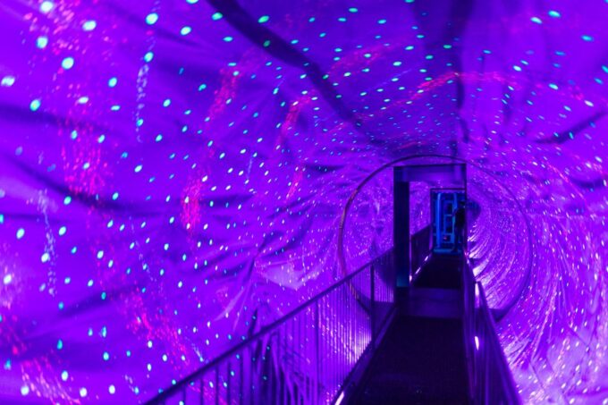 Amsterdam 1-Hour Canal Cruise and Ripley'S Believe It or Not - Accessibility Considerations