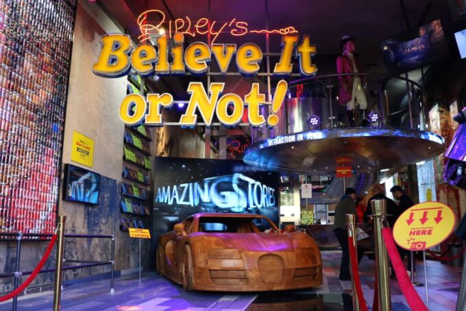 Amsterdam 1-Hour Canal Cruise and Ripley'S Believe It or Not - Tips for Your Visit