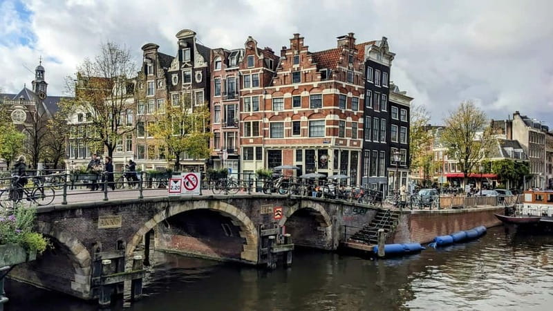 Amsterdam: 2-hour Rembrandt & Van Gogh walking tour - Who Will Love This Tour?