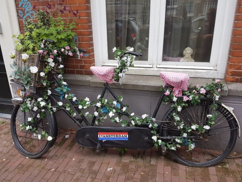 Amsterdam: 3-hour Countryside Bike Tour - Frequently Asked Questions