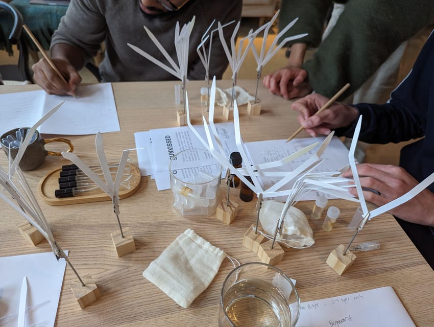 Amsterdam: 3-Hour Mindful Perfume-Making Workshop - Final Thoughts