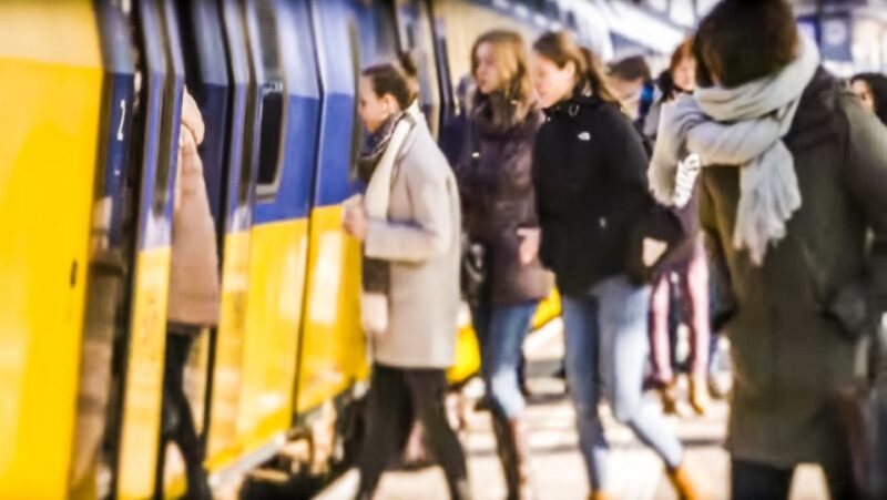 Amsterdam: Amsterdam & Region Travel Ticket for 1-3 Days - Customer Reviews and Ratings
