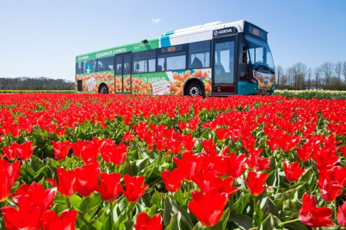 Amsterdam: Amsterdam & Region Travel Ticket for 1-3 Days - Nearby Attractions to Explore