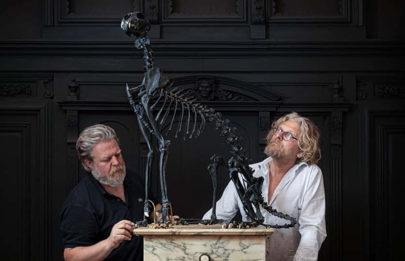 Amsterdam: Art Zoo Museum Entry Ticket & Audio Tour - The Experience of Viewing: Enhancing Your Visit