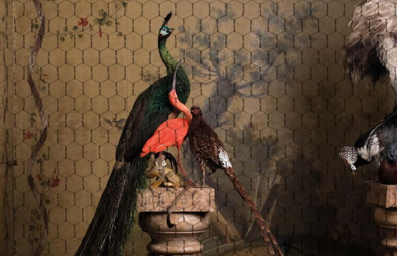 Amsterdam: Art Zoo Museum Entry Ticket & Audio Tour - Who Will Appreciate This Experience?