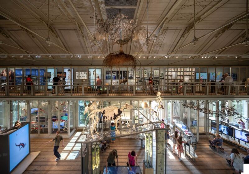 Amsterdam: ARTIS-Groote Museum Entry Ticket - Good To Know