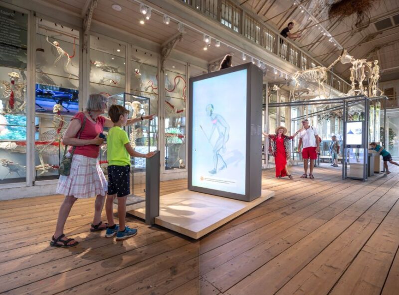 Amsterdam: ARTIS-Groote Museum Entry Ticket - Unique Experience Highlights