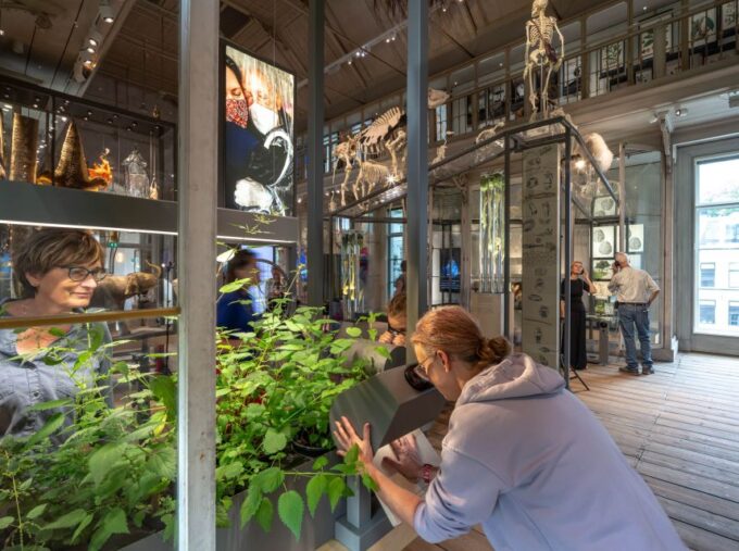 Amsterdam: ARTIS-Groote Museum Entry Ticket - Planning Your Visit
