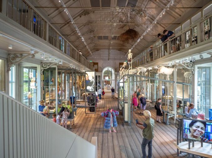 Amsterdam: ARTIS-Groote Museum Entry Ticket - Frequently Asked Questions