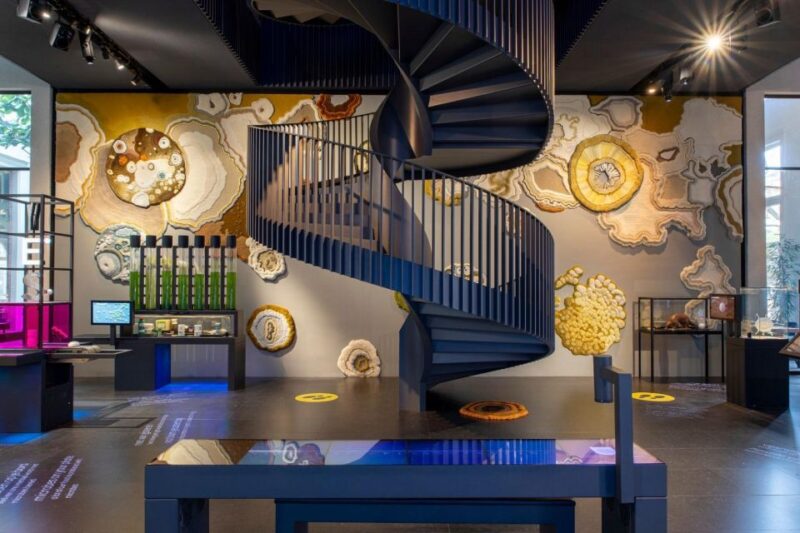Amsterdam: ARTIS-Micropia Microbe Museum Entry Ticket - Museum Highlights