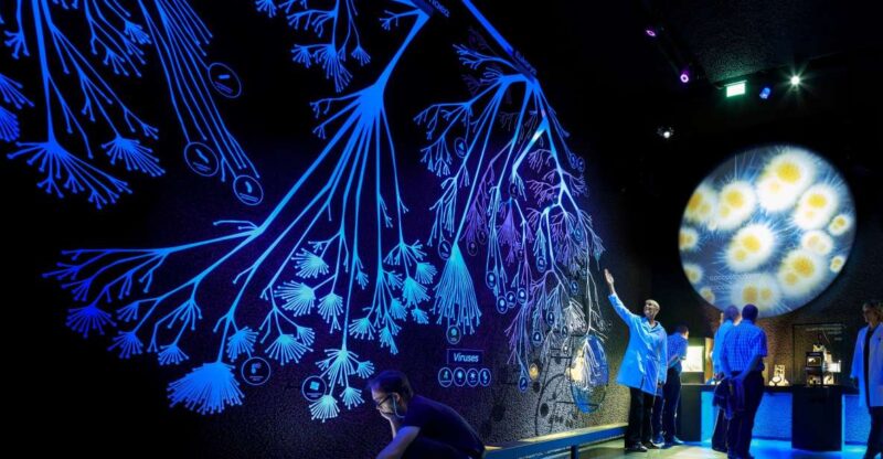 Amsterdam: ARTIS-Micropia Microbe Museum Entry Ticket - Accessibility Features