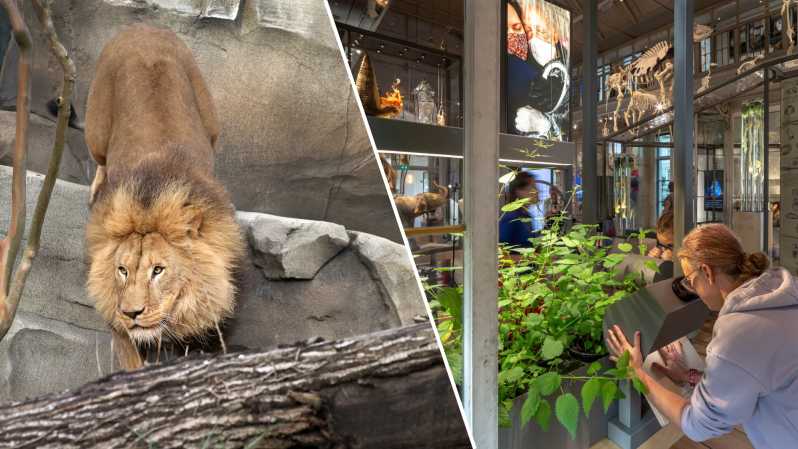 Amsterdam: ARTIS Royal Zoo and ARTIS Groote Museum Ticket - Highlights of ARTIS Royal Zoo