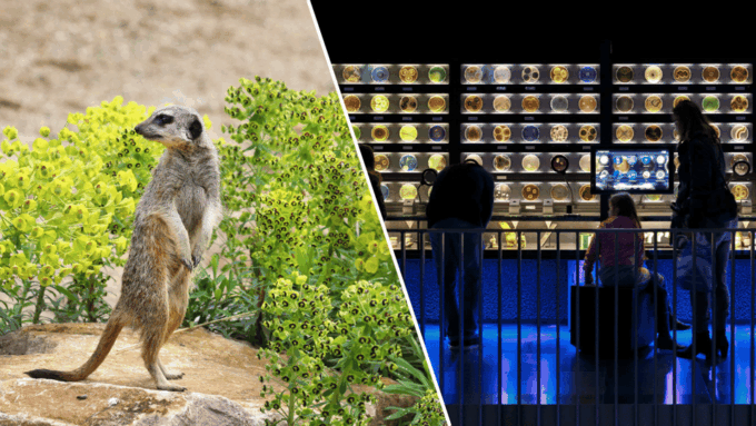 Amsterdam: Artis Royal Zoo & ARTIS-Micropia Combo Ticket - Getting There