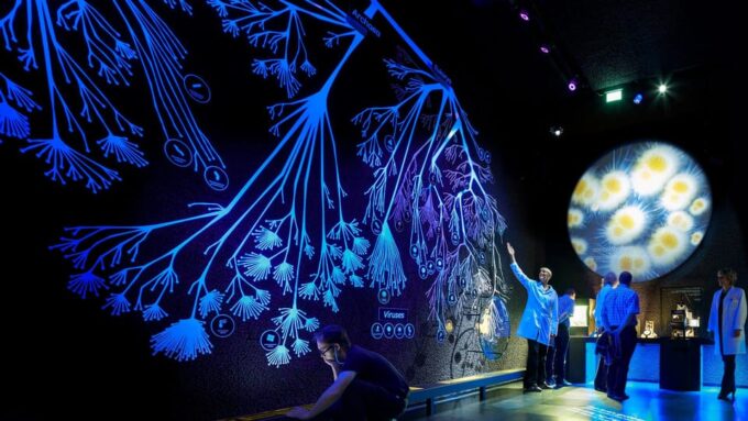 Amsterdam: Artis Royal Zoo & ARTIS-Micropia Combo Ticket - Ticket Pricing and Policies