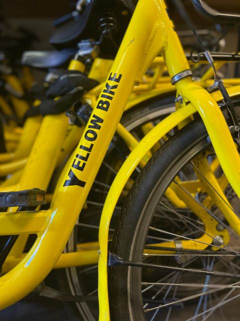 Amsterdam: Bike Rental - Customer Feedback and Ratings