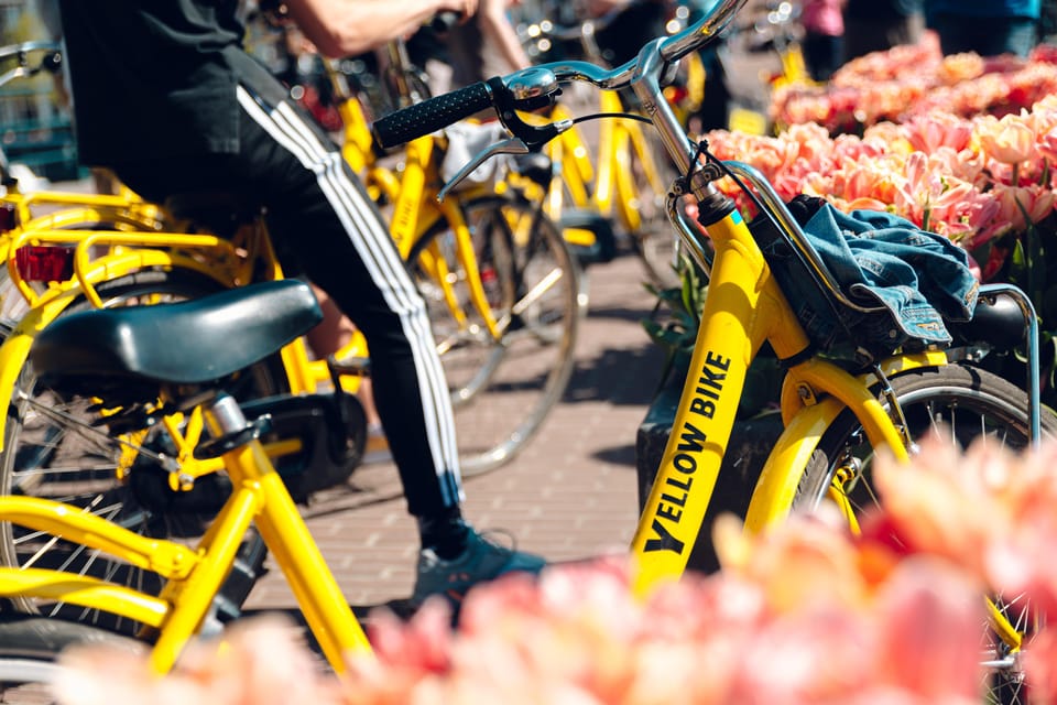 Amsterdam: Bike Rental - Why Rent a Bike in Amsterdam?