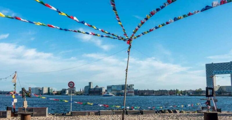 Amsterdam: Bus Day Ticket to Haarlem and Zandvoort (Beach) - Customer Feedback