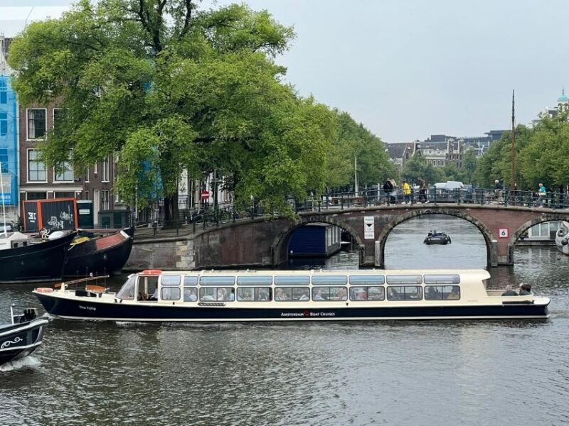 t4464141