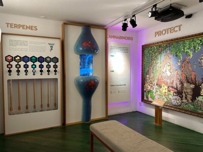 Amsterdam: Cannabis Museum Entry Ticket - Frequently Asked Questions