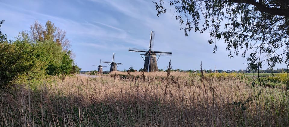 Amsterdam & Countryside Private Tour by premium car - An In-Depth Look at the Tour Itself