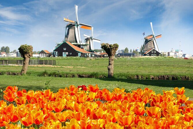 Amsterdam: Day Trip to Keukenhof & Zaanse Schans Windmills - Key Points