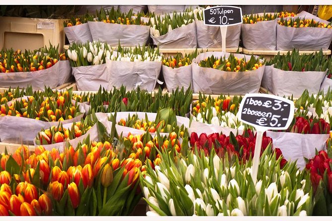 Amsterdam: E-Bike Sightseeing Tour - Tips for a Great Experience